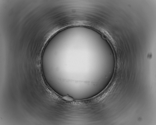 X0000100201089200806131224