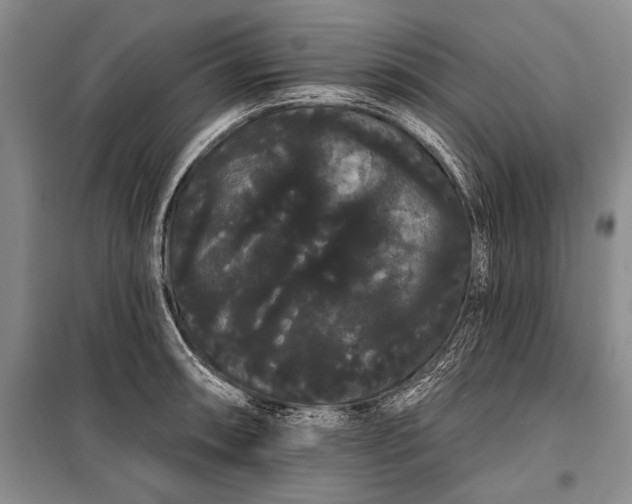 X0000100201090200806131224