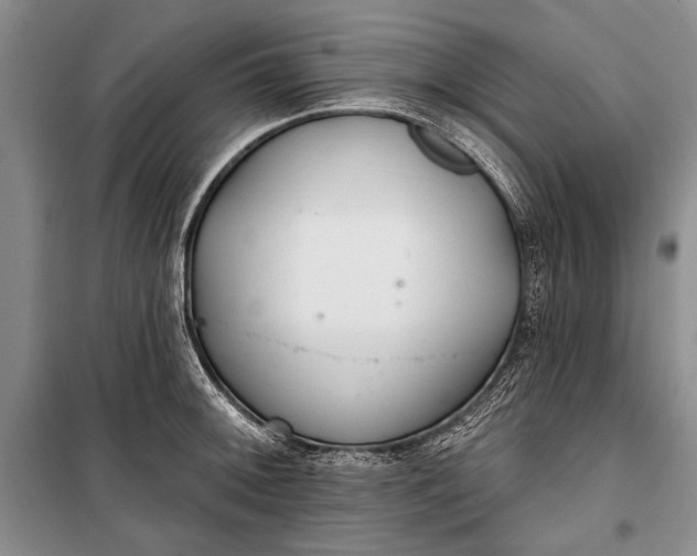 X0000100201092200806131224