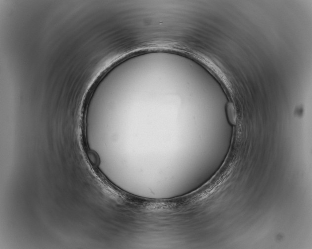 X0000100201093200806131224