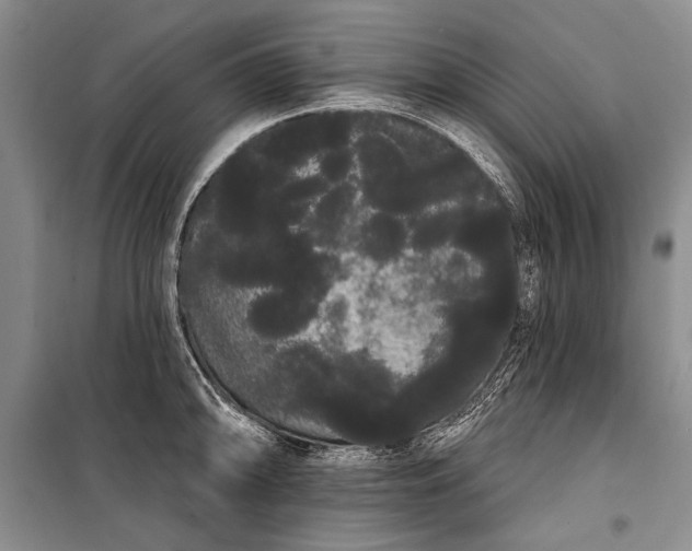 X0000100201094200806131224