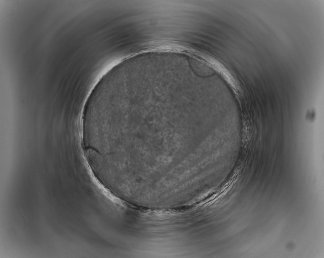 X0000100201095200806131224