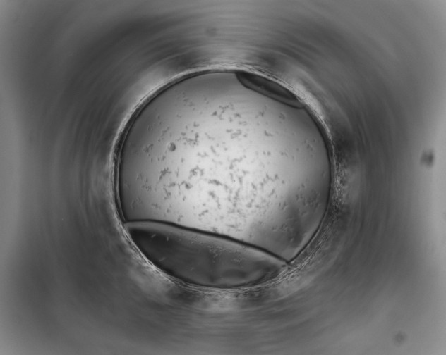 X0000100201096200806131224