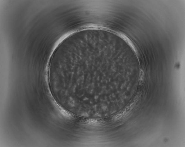 X0000100201098200806131224