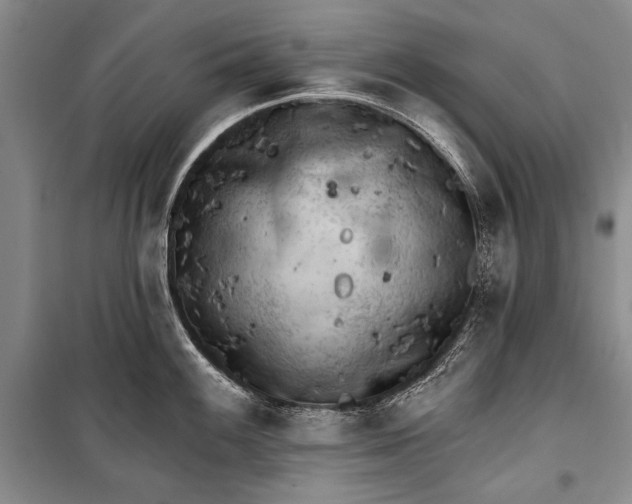 X0000100201100200806131224