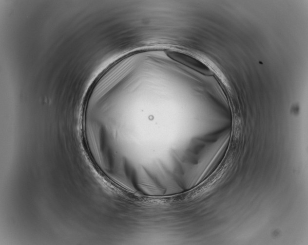 X0000100201101200806131224