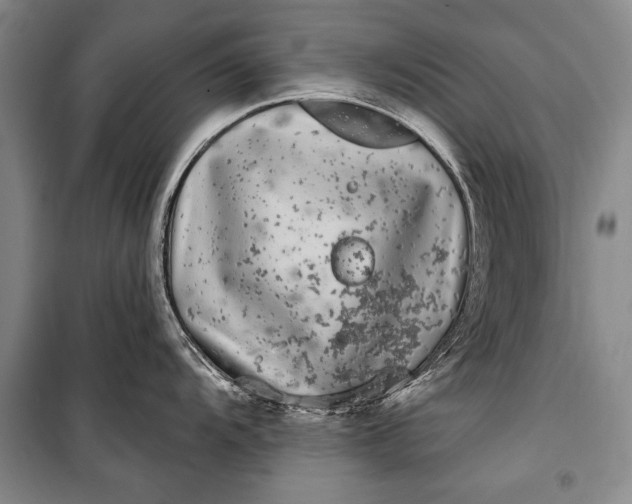 X0000100201104200806131224