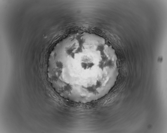 X0000100201105200806131223