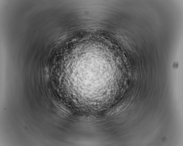 X0000100201106200806131223