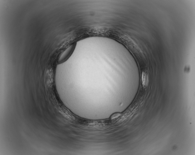 X0000100201107200806131223