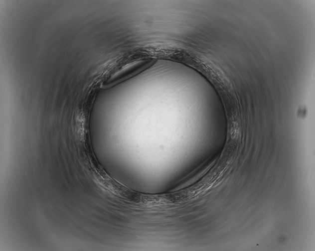 X0000100201108200806131223