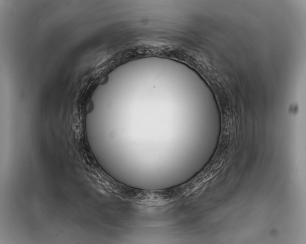 X0000100201109200806131223