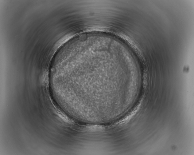 X0000100201113200806131223