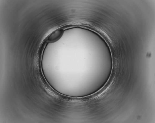 X0000100201114200806131223