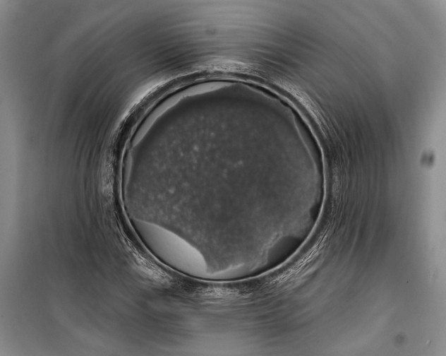 X0000100201115200806131223