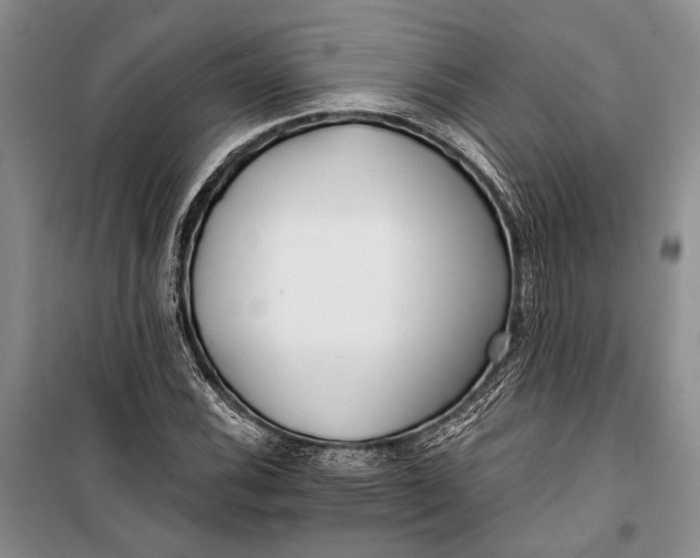 X0000100201116200806131223