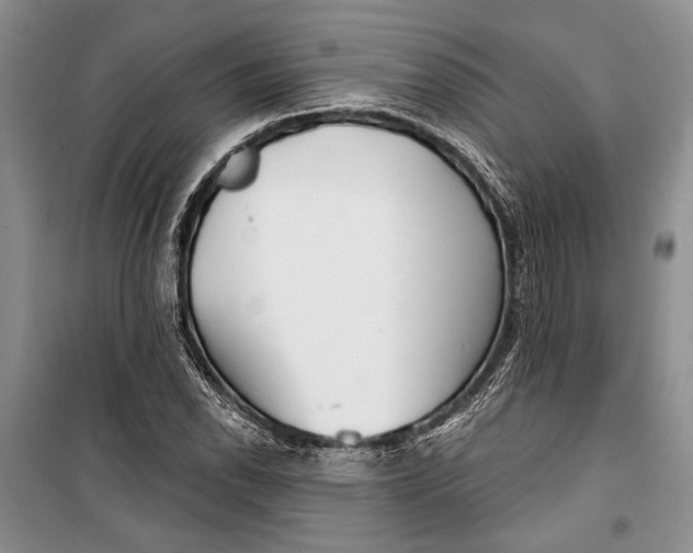 X0000100201118200806131223