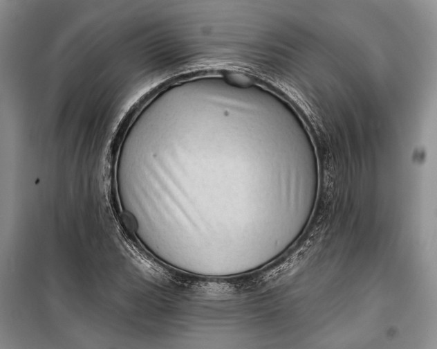 X0000100201119200806131223