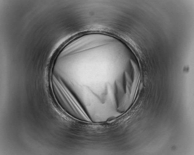 X0000100201120200806131223