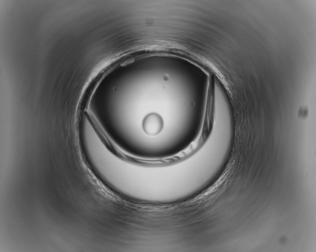 X0000100201122200806131223