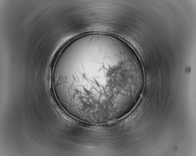 X0000100201123200806131223