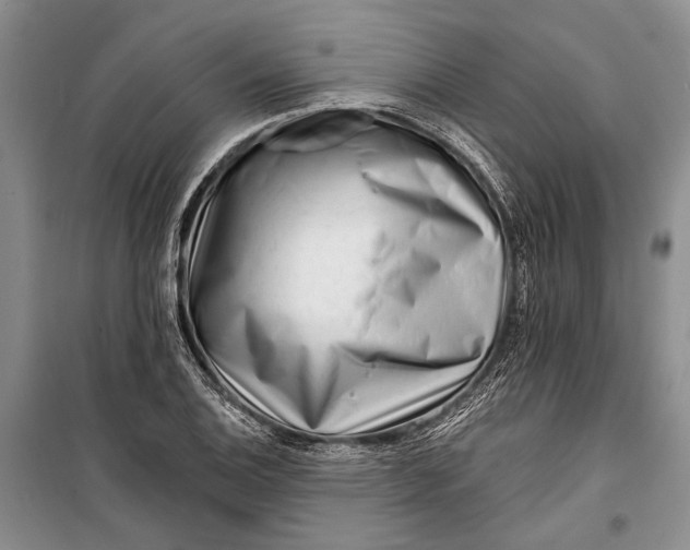 X0000100201124200806131223