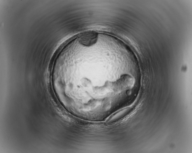 X0000100201125200806131223