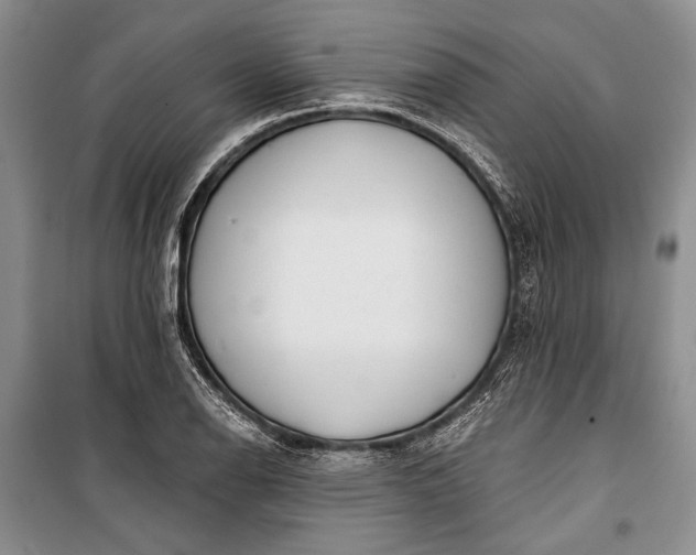 X0000100201126200806131223