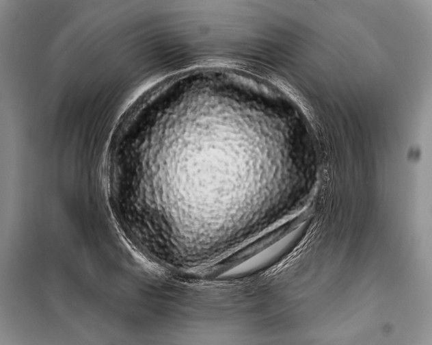 X0000100201127200806131223