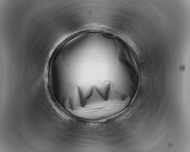 X0000100201128200806131223