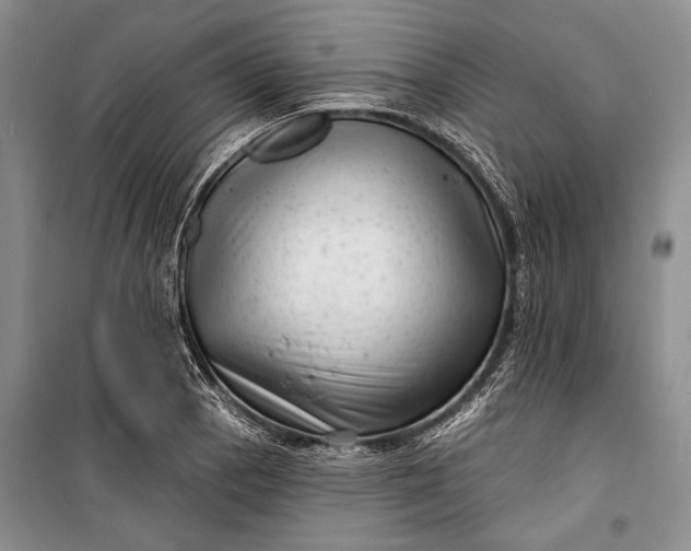 X0000100201129200806131223