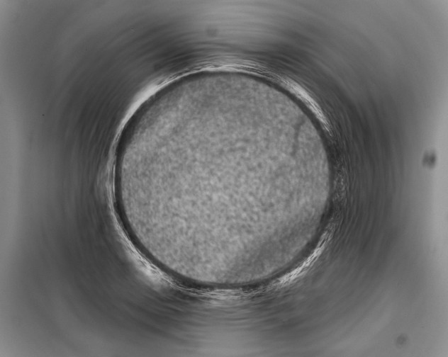 X0000100201130200806131223