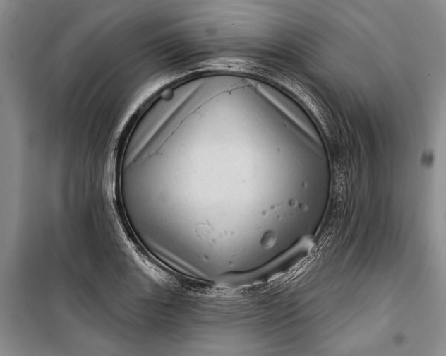 X0000100201131200806131223