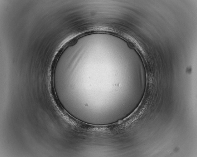 X0000100201133200806131223