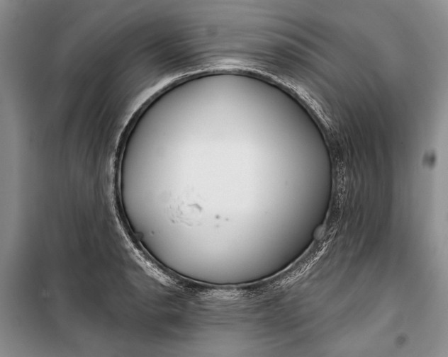 X0000100201134200806131223