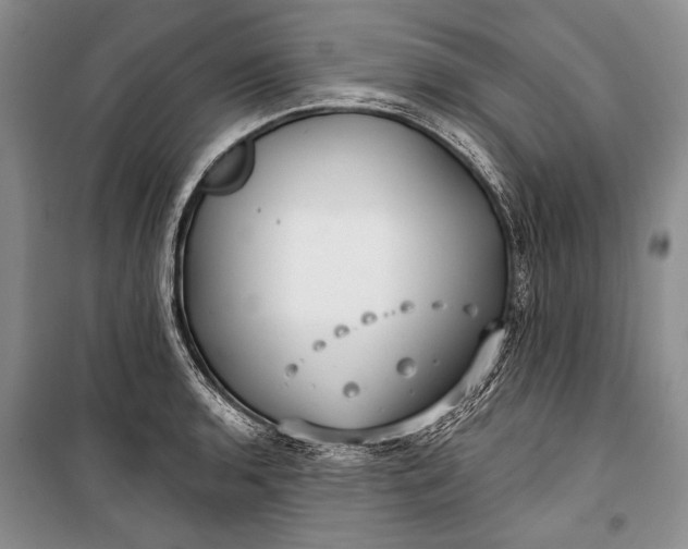 X0000100201136200806131223