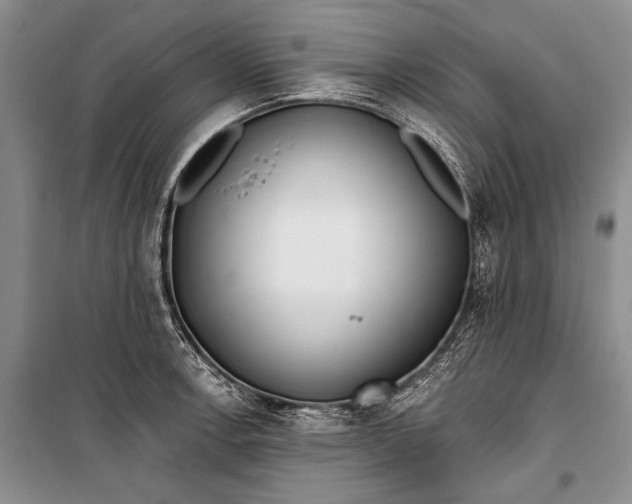 X0000100201138200806131223