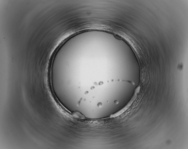 X0000100201139200806131223