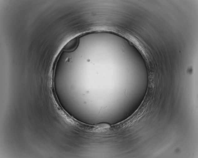 X0000100201140200806131223