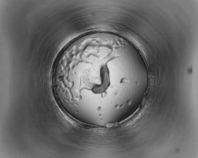 X0000100201141200806131223