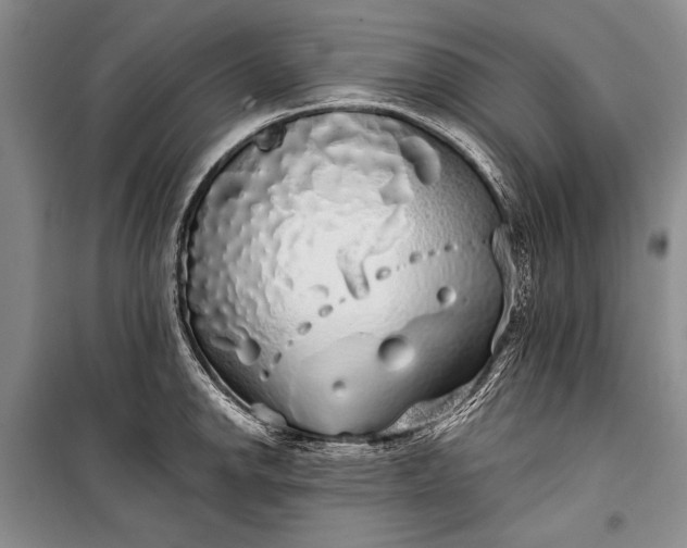 X0000100201142200806131223