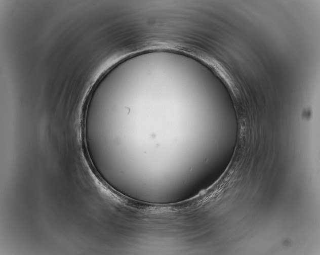 X0000100201143200806131223