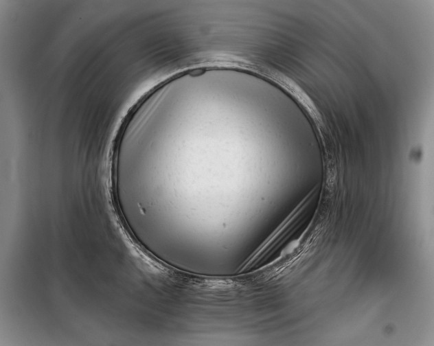 X0000100201144200806131224