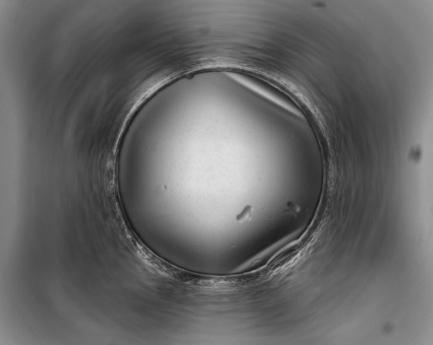 X0000100201145200806131224