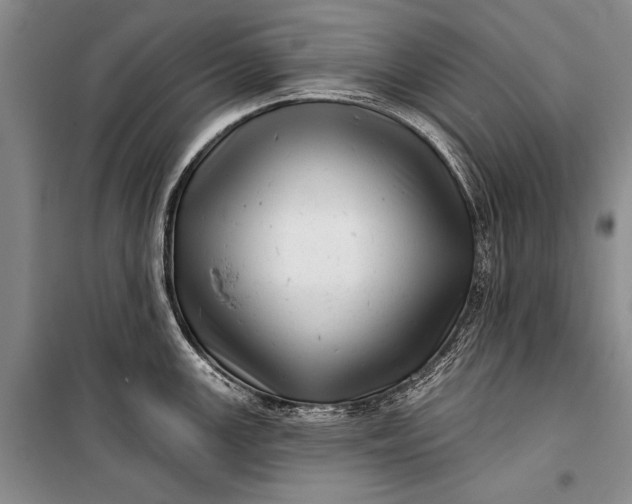 X0000100201147200806131224