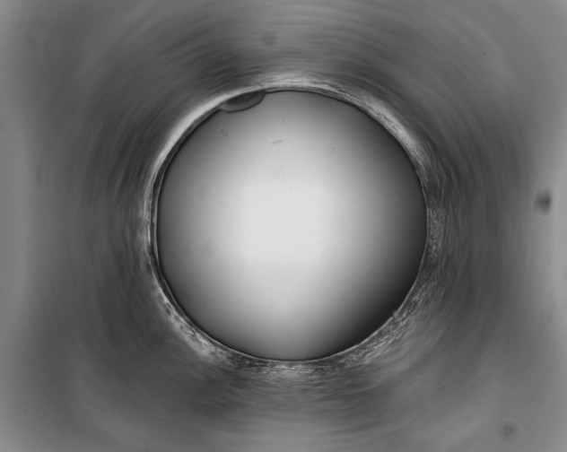 X0000100201148200806131224