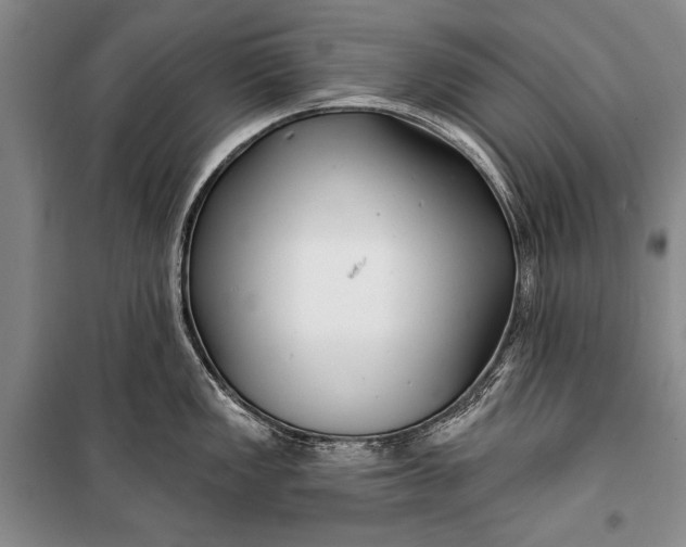 X0000100201149200806131224