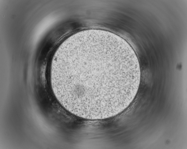 X0000100201150200806131224