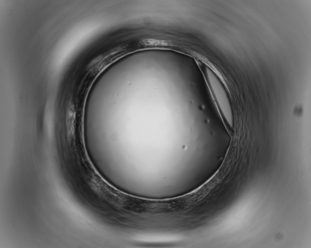 X0000100201151200806131224