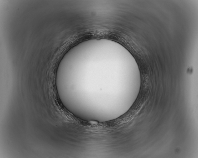 X0000100201153200806131223